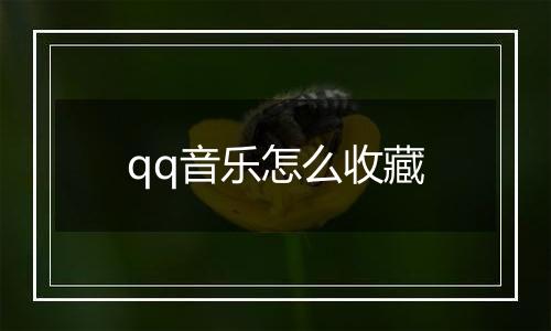 qq音乐怎么收藏