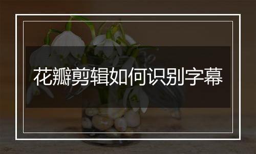 花瓣剪辑如何识别字幕