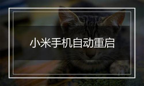 小米手机自动重启