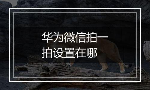 华为微信拍一拍设置在哪