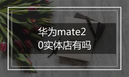 华为mate20实体店有吗