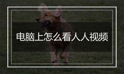 电脑上怎么看人人视频