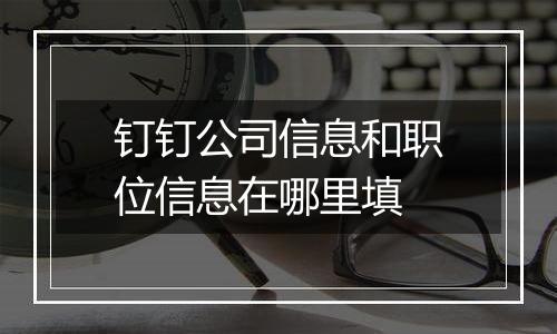 钉钉公司信息和职位信息在哪里填