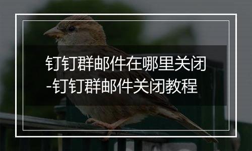 钉钉群邮件在哪里关闭-钉钉群邮件关闭教程