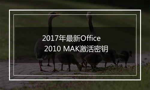 2017年最新Office 2010 MAK激活密钥