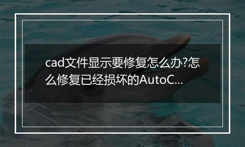 cad文件显示要修复怎么办?怎么修复已经损坏的AutoCAD文件