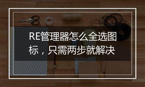 RE管理器怎么全选图标，只需两步就解决