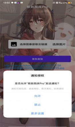 极致图床Pro