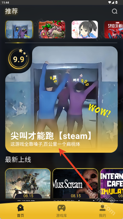 Go云游