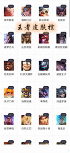 王者皮肤控