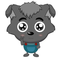 小灰灰直装v1.0