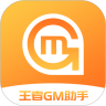 王者GM助手手机版