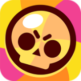 荒野乱斗辅助器