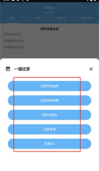 画质阁plus