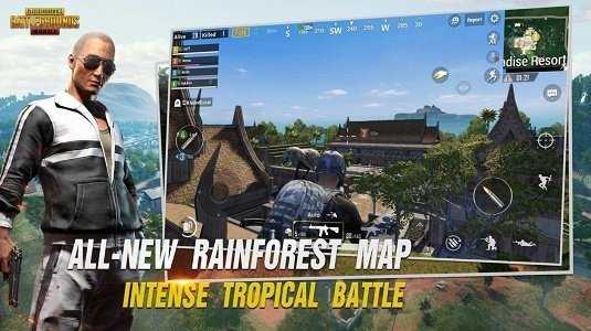 PUBG国际服透视辅助V4.0