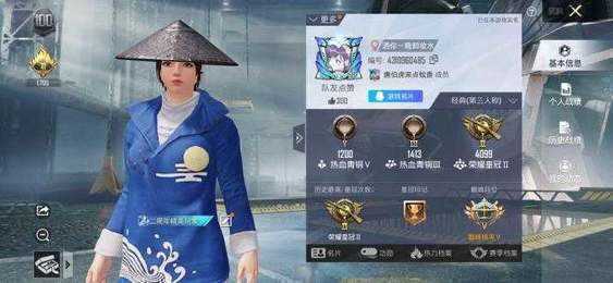 和平精英辅助软件
