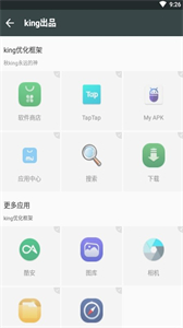 king国体新框架