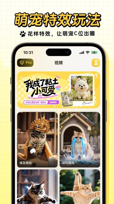 宠玩app