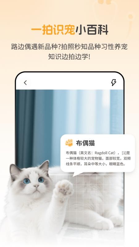 AI宠物问诊