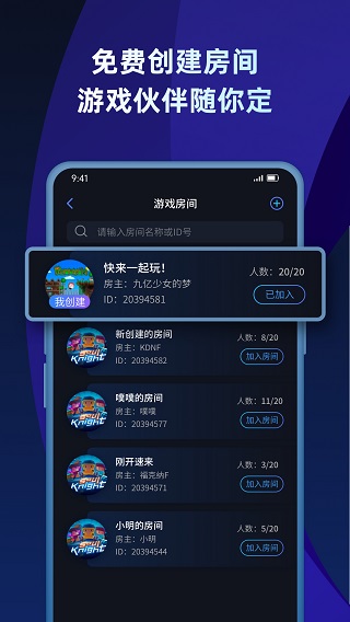 贝锐蒲公英联机