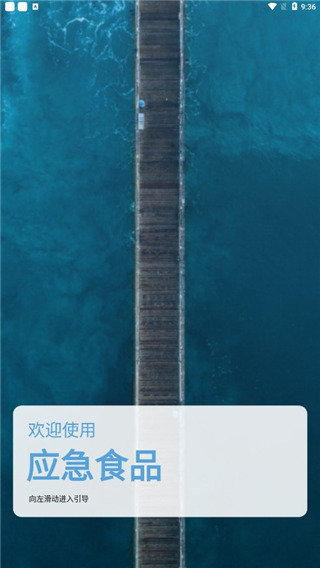 应急食品