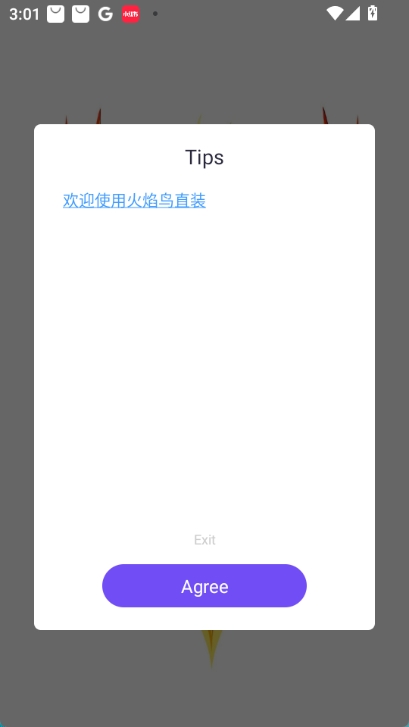 火焰鸟v4