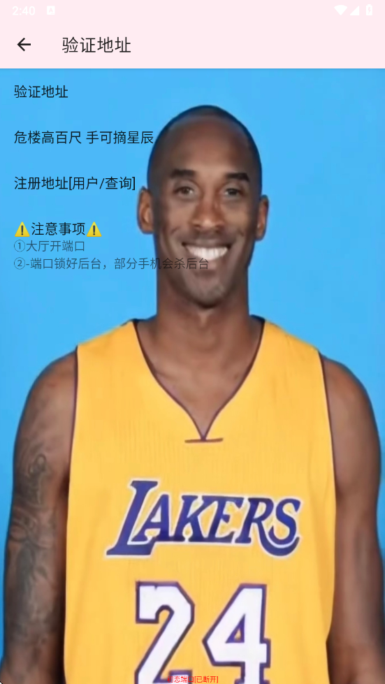 牢大加速专用框架