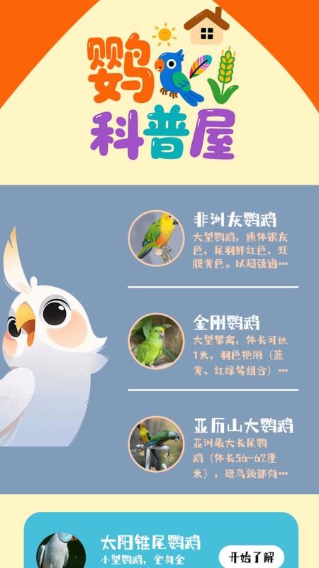 虎皮鹦鹉之屋