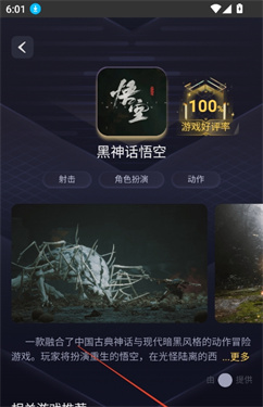 闪电云游戏