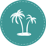 MaldiVes模拟器