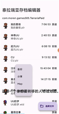 泰拉瑞亚存档编辑器