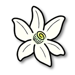 Azahar模拟器安卓版