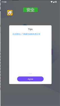 小飞猪直装