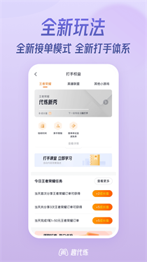 趣代练打手版
