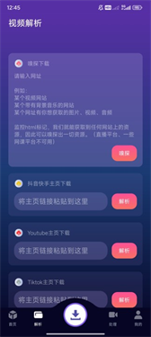 夜枫助手