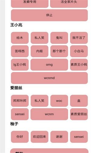 王小兆语音盒