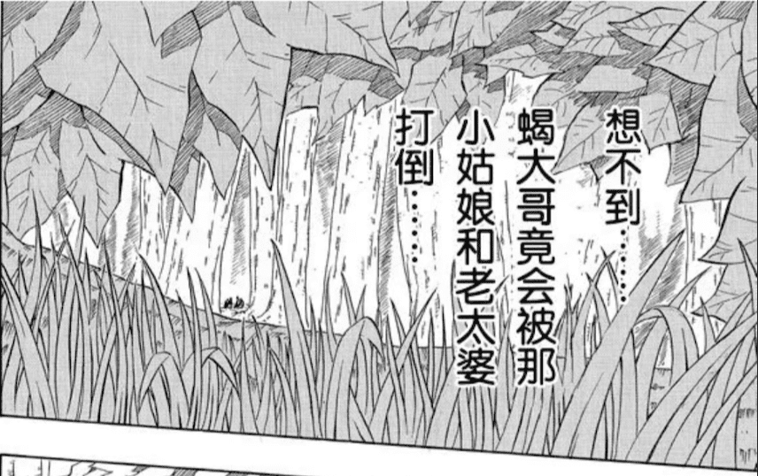 火影忍者重要角色介绍，火影忍者全人物详解