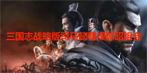三国志战略版司马懿曹操郝昭，三国志战略版司马懿曹操郝昭组合