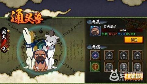 火影忍者怎么激活忍犬？火影忍者忍犬获取方法教学攻略