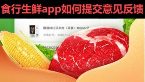 食行生鲜app如何提交意见反馈