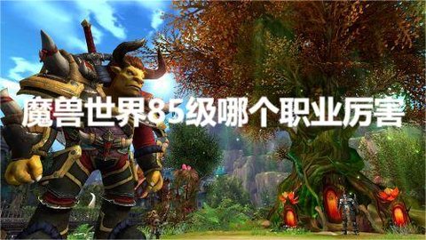 魔兽世界85级哪个职业厉害？魔兽世界85级版本强力职业排名