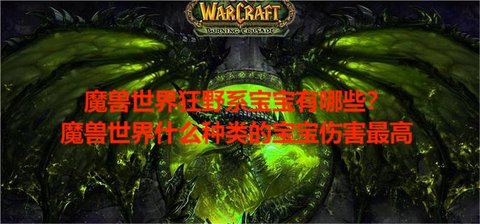 魔兽世界狂野系宝宝有哪些？魔兽世界什么种类的宝宝伤害最高