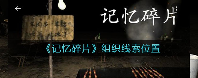 孙美琪疑案记忆碎片记事本