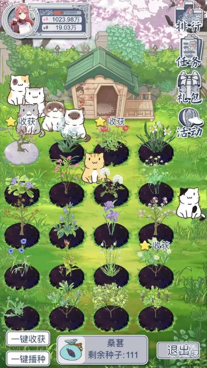 花与香水与猫金色种子