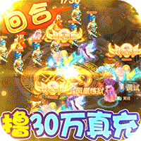 武道将魂（刷30万真充）【进阶礼包】梨子手游