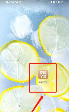 我的宁夏怎么交医保 我的宁夏交医保方法介绍