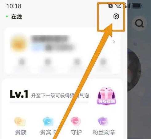 耳旁语音聊天交友怎么设置的 耳旁语音设置优先消耗次元宝石方法