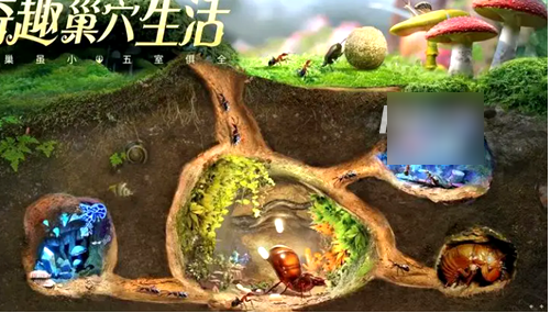 小小蚁国怎么转app