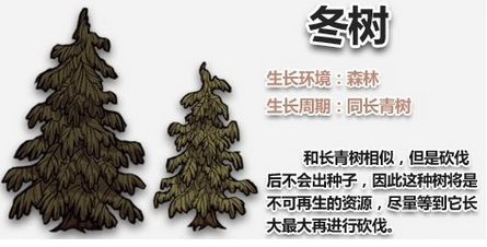 饥荒海难如何防止农场枯萎 饥荒海难防止树木枯萎方法