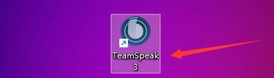 teamspeak3怎么给权限 TeamSpeak3如何设置启用应用*权限